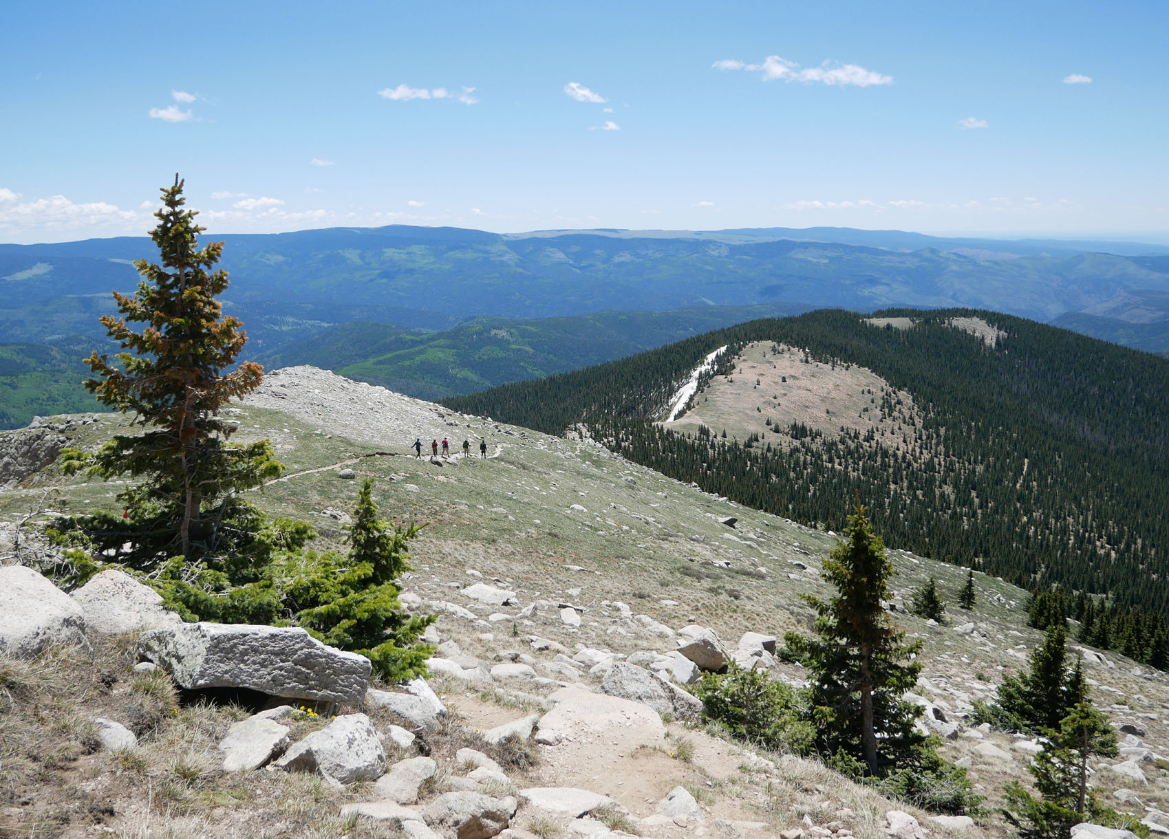 Baldy1.jpg